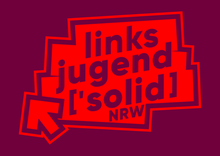 Die Linke hilft Düren (A4 (Querformat)) - 3